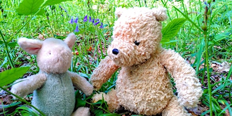 Winnie the Pooh Trail and Teddy Bears picnic