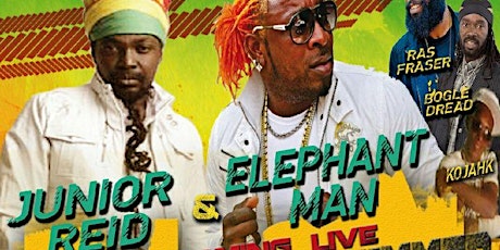International Summer Concert Series Featuring Junior Reid & Elephant Man primary image