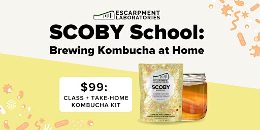 SCOBY School: Brewing Kombucha at Home
