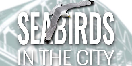 Seabirds in the City evening event tickets