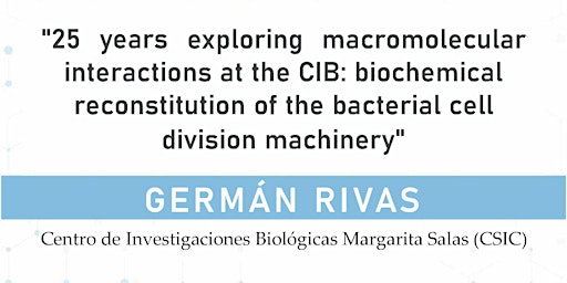 Biochemical reconstitution of the bacterial cell division machinery