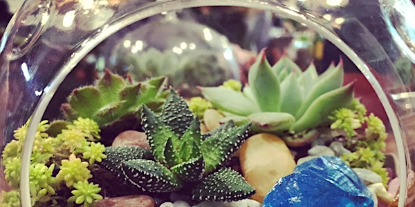 In Person! Terrarium Workshop - Sat Aug 20th