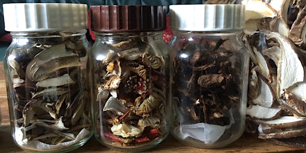 Medicinal Mushroom Workshop