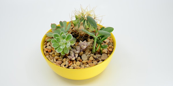 Desert Dish: Succulent Terrarium Workshop