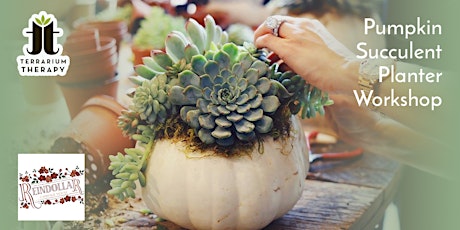 In-Person Pumpkin Succulent Workshop at Reindollar Carriage House