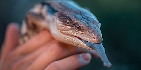 NaturallyGC Scaly Reptiles tickets