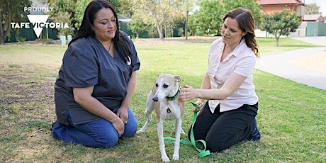 Online Animal Care and Veterinary Nursing Information and Enrolment Session tickets