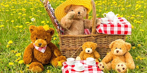 Teddy Bear Picnic and High Tea