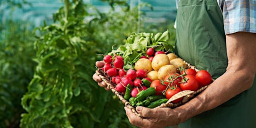 Introduction to Organic Gardening