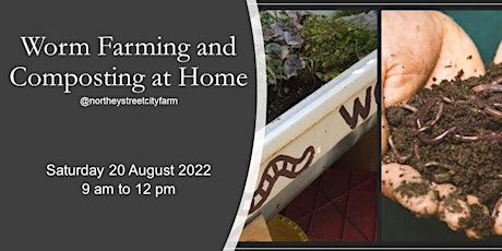 Worm Farming and Composting at Home with Brian Donaldson