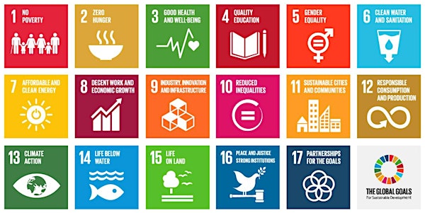 Making Global Goals Local Business - Brighton 