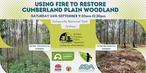 Using fire to restore the Cumberland Plain Woodland