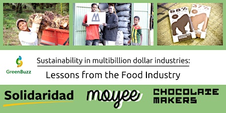 Sustainability in multibillion dollar industries: Lessons from the food industry primary image