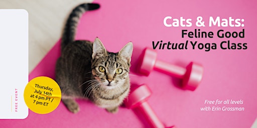 Cats & Mats: Feline Good Virtual Yoga Class