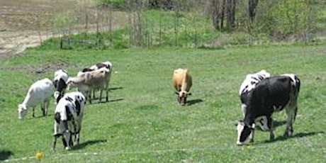 Summer Dairy Series: Transitioning to More Grazing tickets