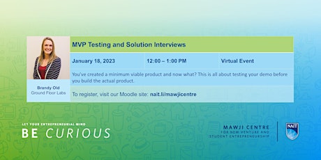 Testing your MVP and Solution Interviews