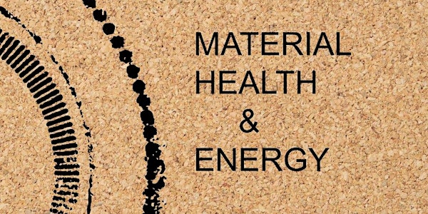 The Intersection of Material Health and Energy in Affordable Housing