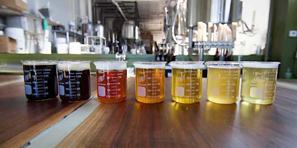 Beer 101: A Taste of History
