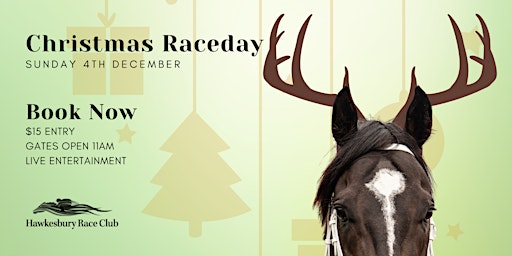 Christmas Raceday | Sunday 4th December