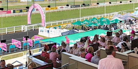 Sky Racing Pink Ribbon Raceday - Skyline Restaurant
