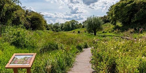 Discover Oxfordshire's Wetlands: Lye Valley guided walk
