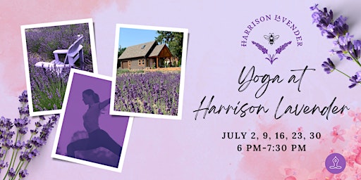 Yoga at Harrison Lavender