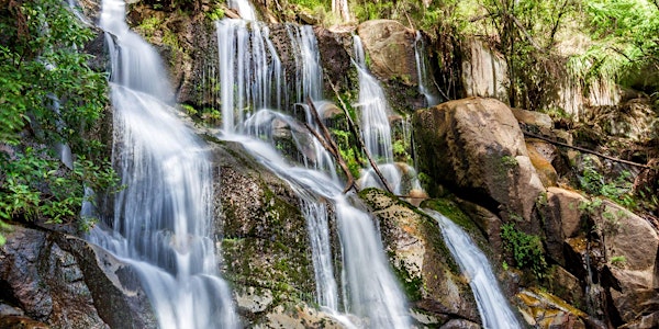 LOL (Learn on Location) at Toorongo Waterfalls (Noojee)