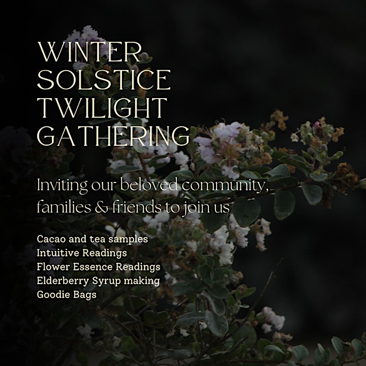 Winter Solstice Twilight Gathering image