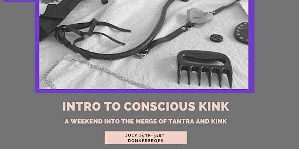 Intro to conscious kink