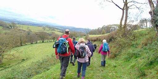 Cynghordy to Llandovery 11km Guided Walk