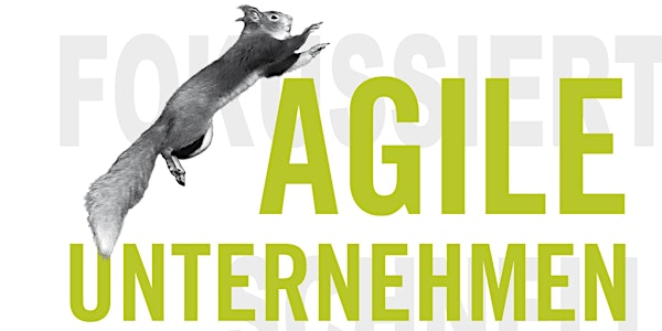 Webinar: Agile in 100 Minuten