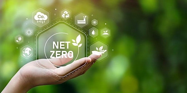 Somerset Growth Programme - Aiming to Net Zero