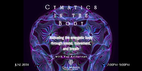 cymatics in the body