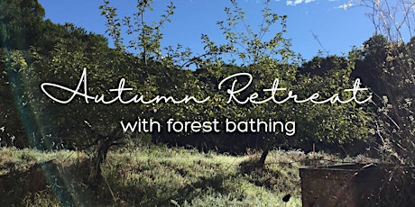 Autumn Retreat with Forest Bathing entradas