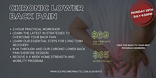 Chronic Lower Back Pain Workshop