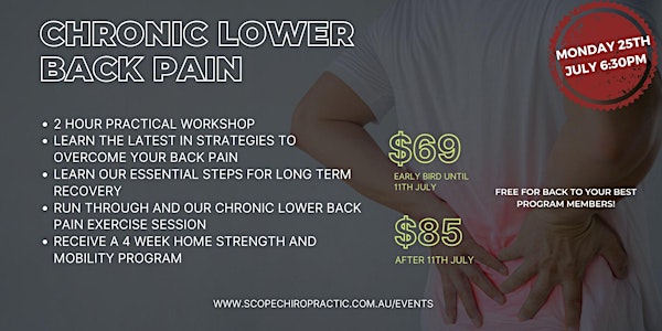 Chronic Lower Back Pain Workshop