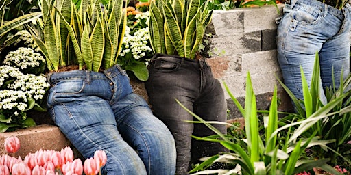 Plant with your old Jeans