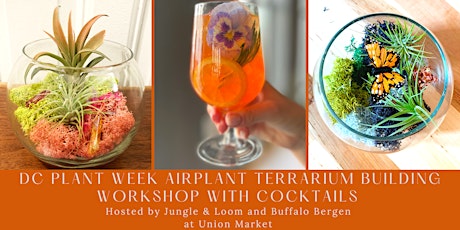 DC Plant Week Airplant Terrarium Building Workshop with Cocktails tickets