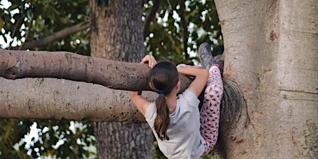 Favourite Tree Photo Competition Display and Awards primary image