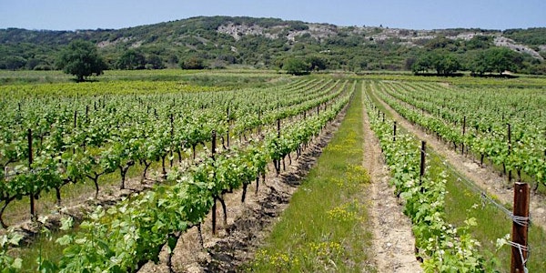 WOODBLOCK RHONE VALLEY WINEMAKER'S DINNER