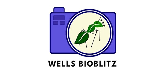Wells Bioblitz - Freshwater Sampling (morning session)