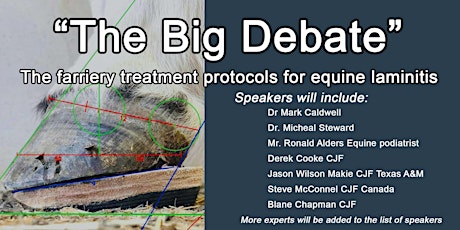 "The Big Debate" - the farriery treatment protocols for equine laminitis.