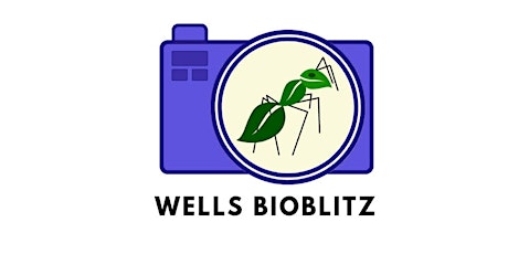 Wells Bioblitz - Freshwater Sampling (afternoon session) tickets