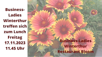Business-Ladies Winterthur  17.11.2023 billets