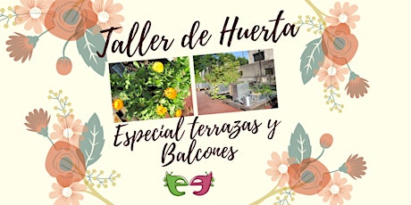 Taller de Huerta para Balcones y Terrazas. entradas