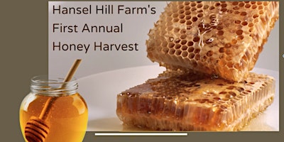 Hansel Hill Farm's Honey Harvest