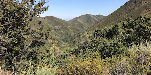 Things To Do In Pittsburg This Weekend, Mount Diablo Landscape Pittsburgh