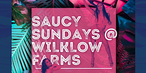 Saucy Sundays @ Wilklow