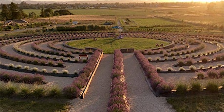 Sunset Yin Yoga & Sound Healing at The Lavender Labyrinth! tickets