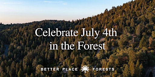 Celebrate July 4th in the Forest
